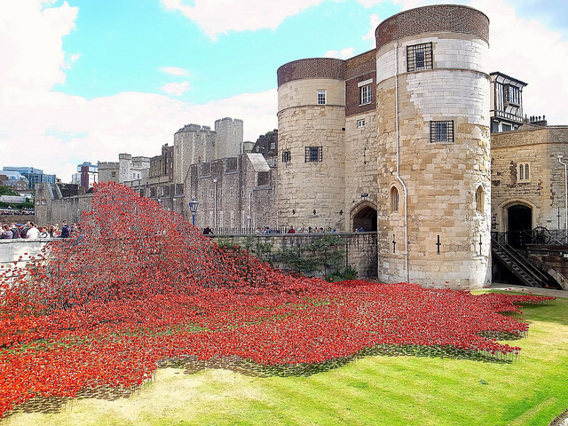 Tower of London- Remembrance Sunday Poppies. Image via Flickr. George Redgrave